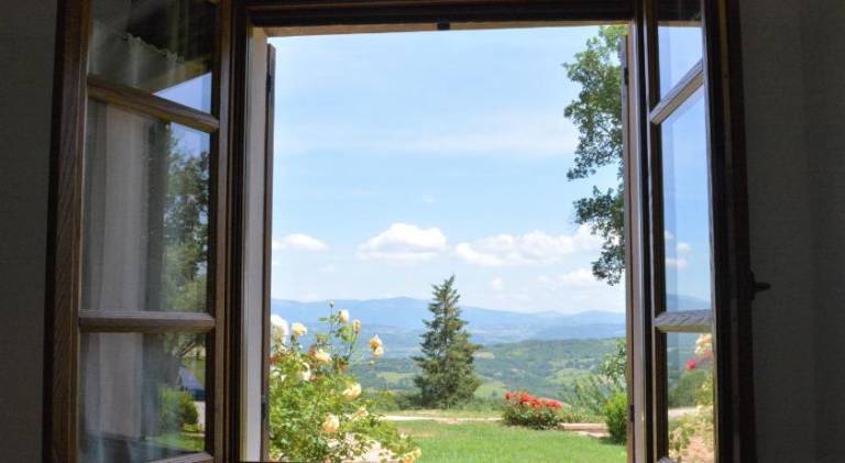 Agriturismo Il Beccafico Alpaca — photo 5