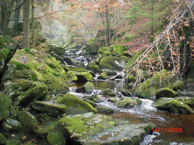 foto14