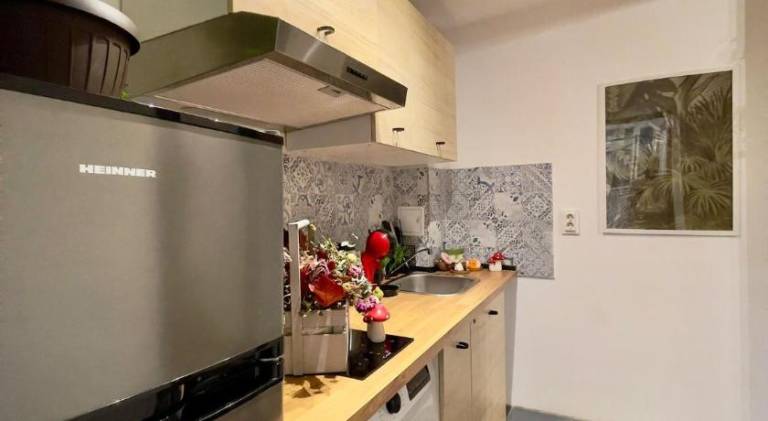 Holiday apartment | Next to Palace of the Parliament | Dogs allowed — photo 3
