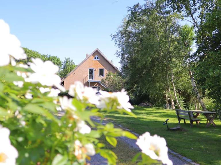 "Watt´n Dog" - Urlaub direkt am Nordseedeich — photo 2