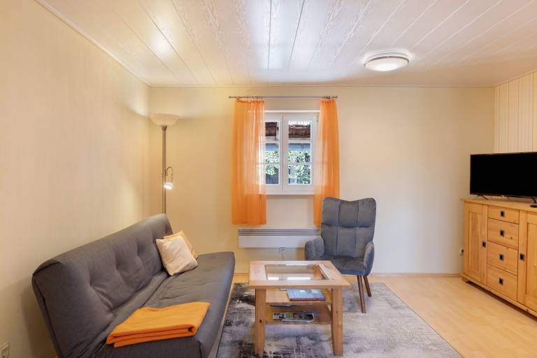 Studio with 1 room for 3 persons — photo 4