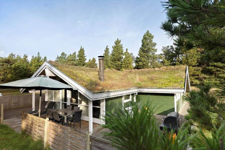 Ferienhaus mit Hund in Bolilmark für max. 8 Personen