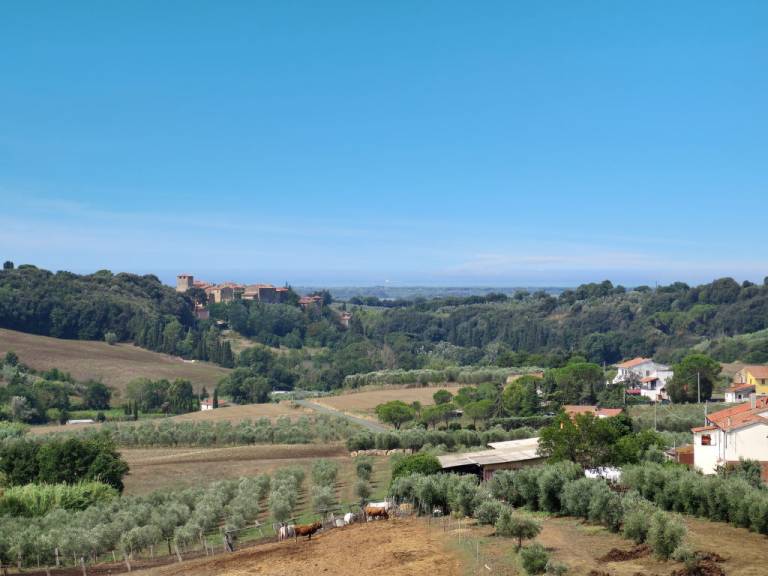 foto19