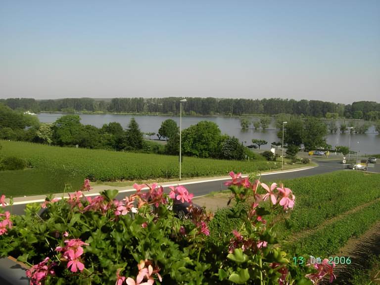 foto19