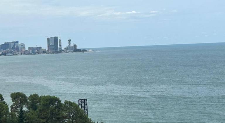 foto41