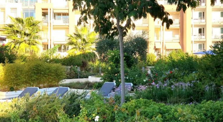 Holiday apartment with pool — photo 5