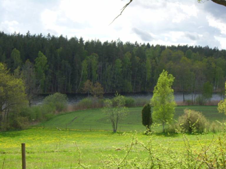 foto14