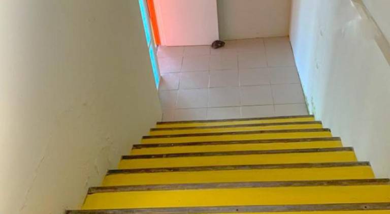 foto41