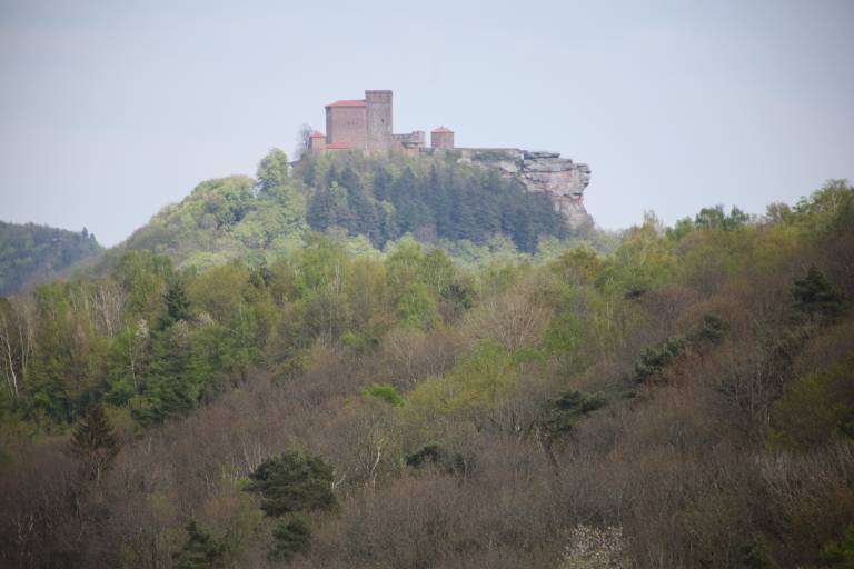 foto5