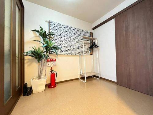foto3