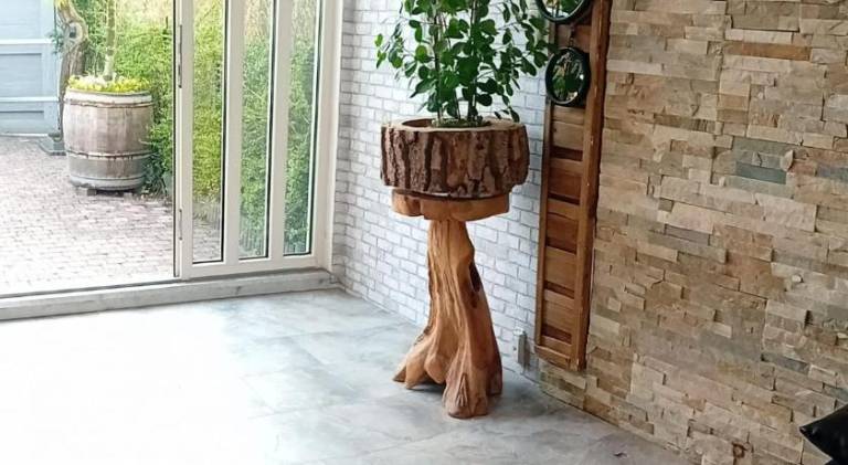 foto10