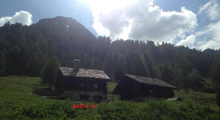 foto49