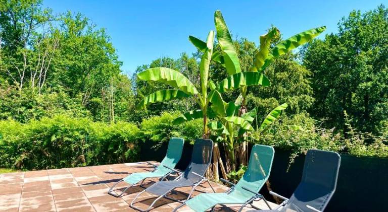 Vacation home with pool — photo 4