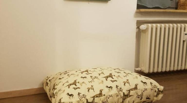 foto42