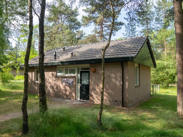 foto28
