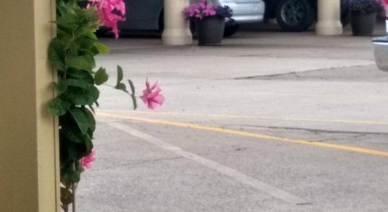 Southern Comfort Suites — photo 2