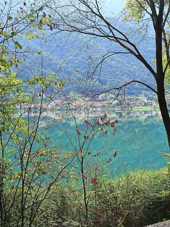 foto21