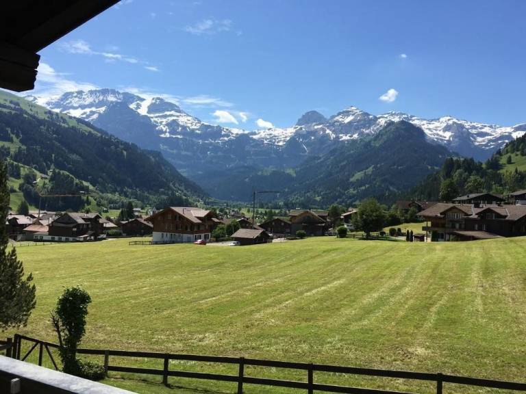 Chalet Steinbock Wohnung 1