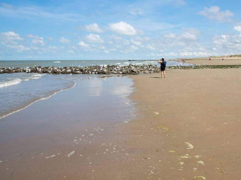 Maison de vacances Bredene