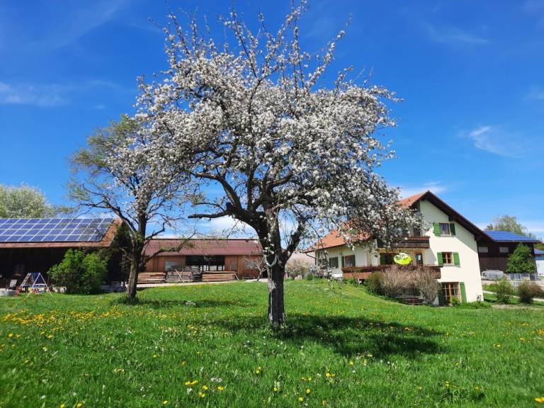 foto20
