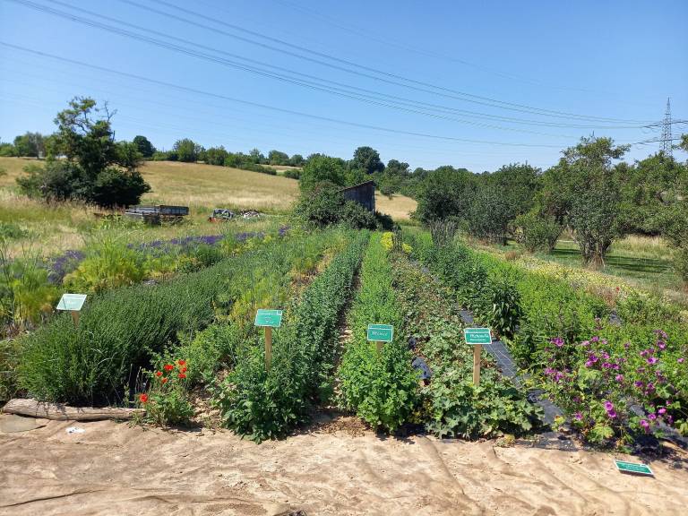Ferienhaus  Mühlacker