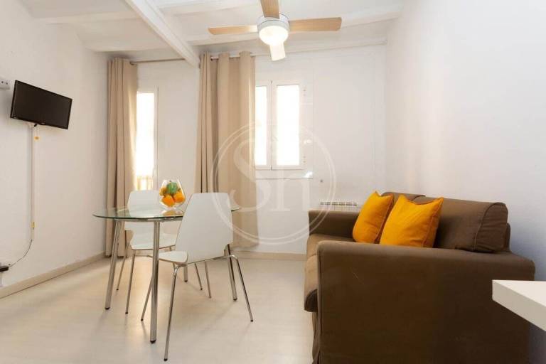 Apartment Sants