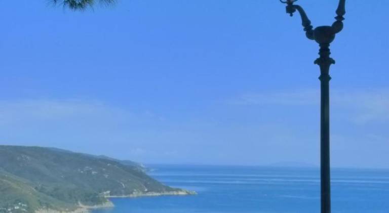 Charming vacation home | Dogs allowed — photo 3