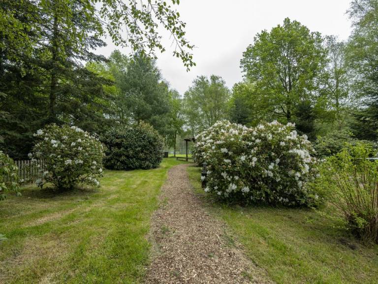 foto30