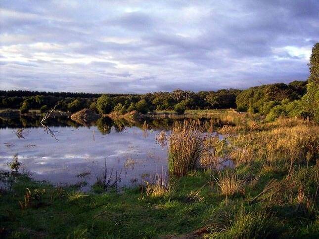 Cottage  Cape Bridgewater