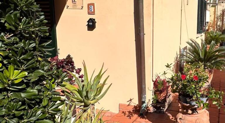 Holiday apartment with 3 rooms for 6 persons in Pisa