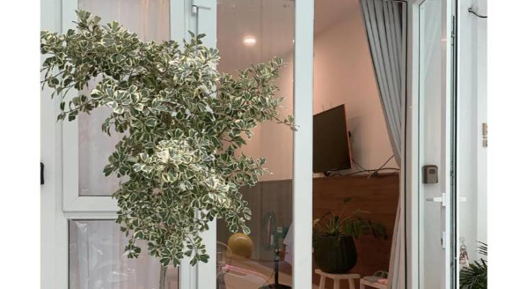 Vevy House — photo 2