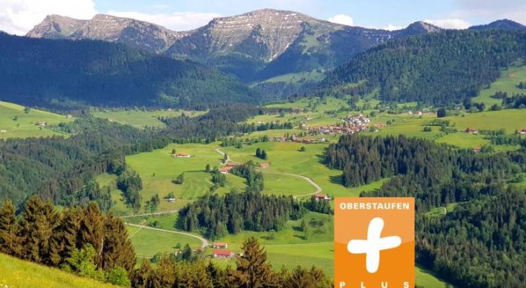 Beautiful rental apartment | Good for workation | Pets allowed in Oberstaufen