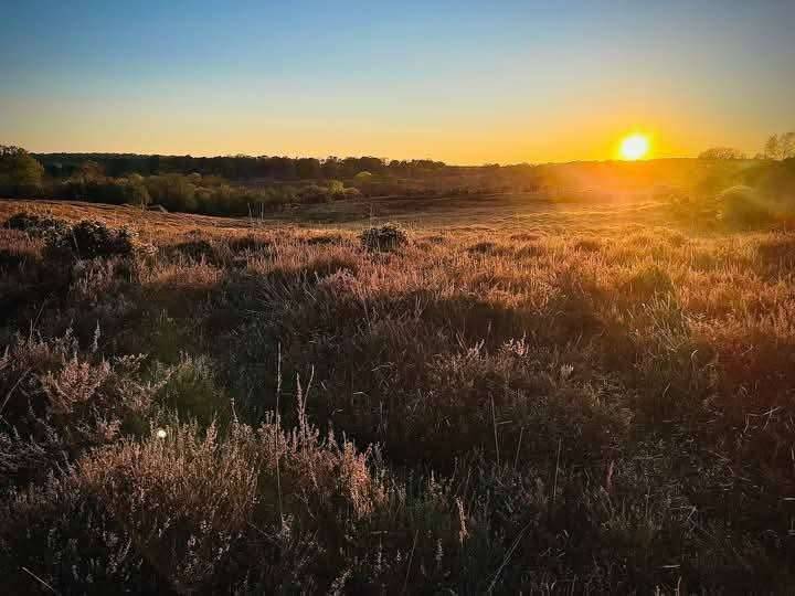 foto17