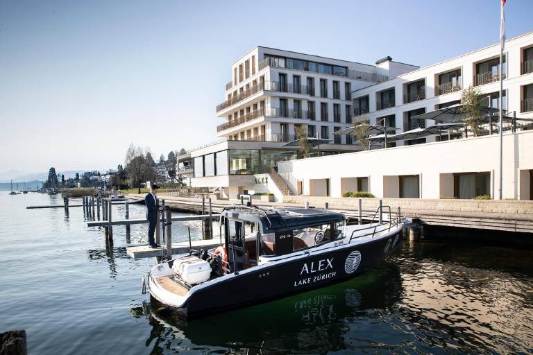 ALEX Lake Zurich
