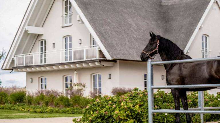 Ferienwohnung  Rankwitz