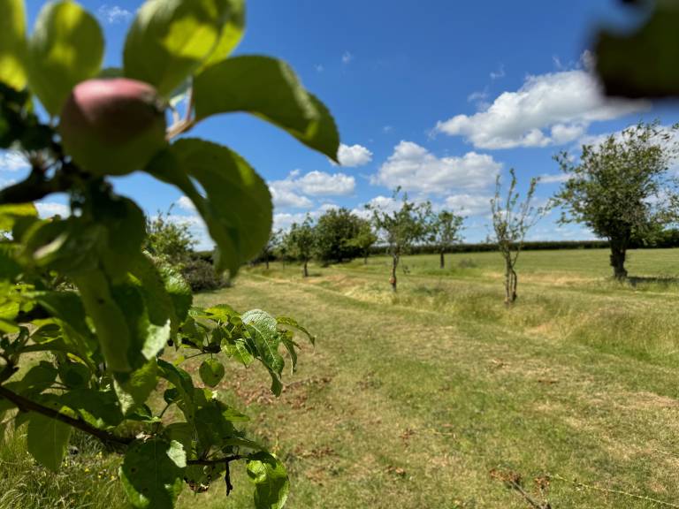 foto14