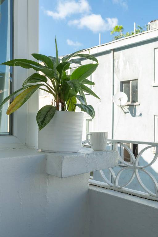 Holiday apartment | Close to Taksim Square | Good for workation | Pets allowed — photo 5