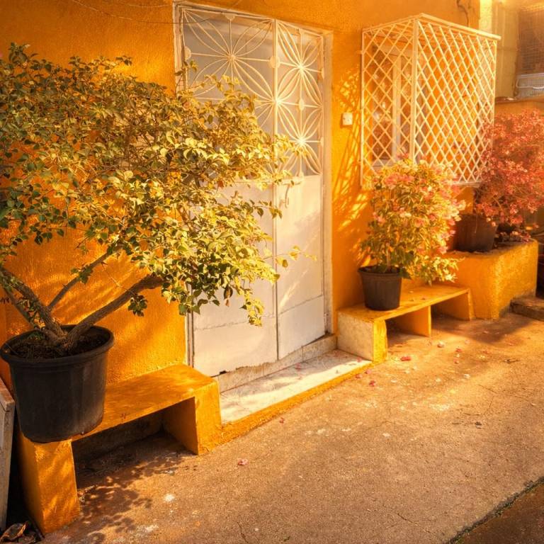 foto7
