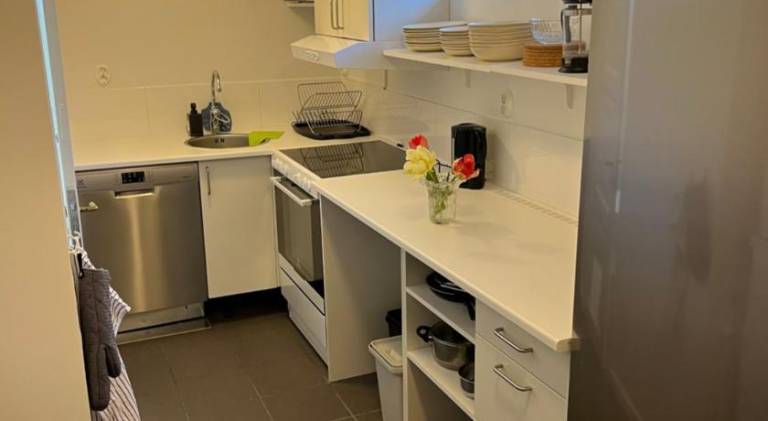 Rental apartment with yard | Pets are welcome — photo 4