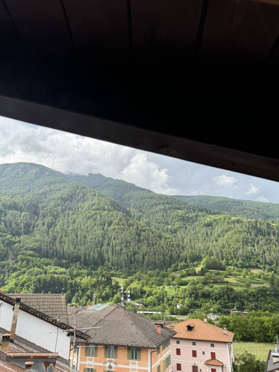 foto47