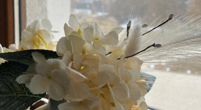 foto44
