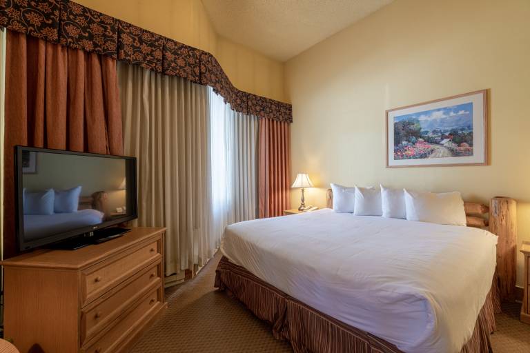 Cozy Pet-Friendly King Studio in Mt. Crested Butte — photo 4
