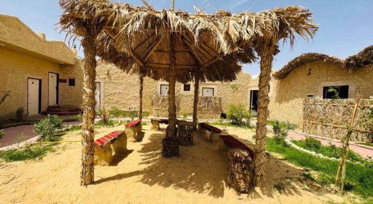 ادرار احكيك — photo 3