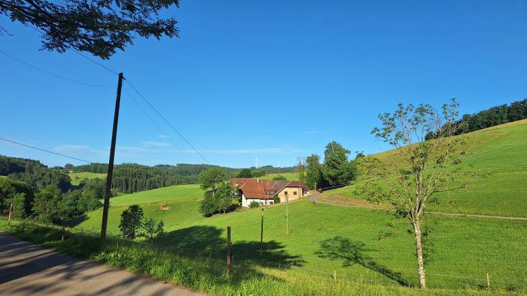 foto17