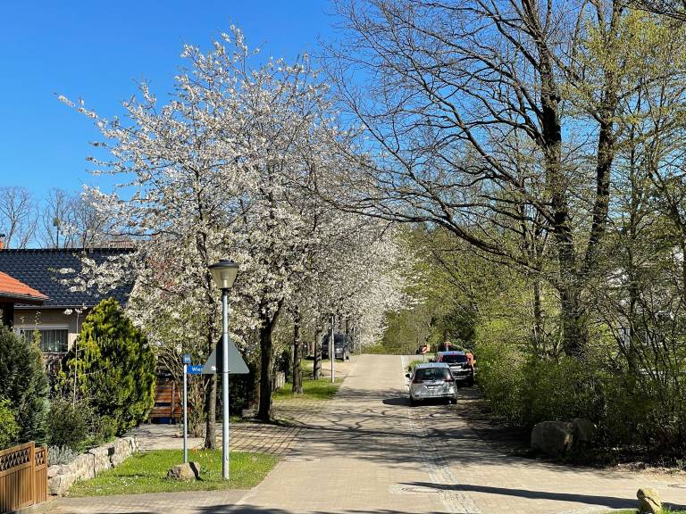 Ferienwohnung  Feldberg