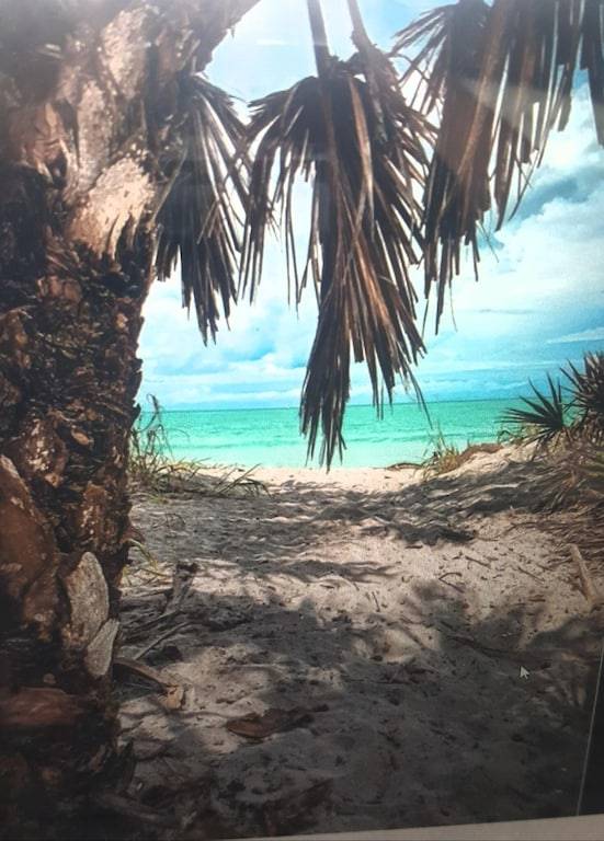 Condo Venice