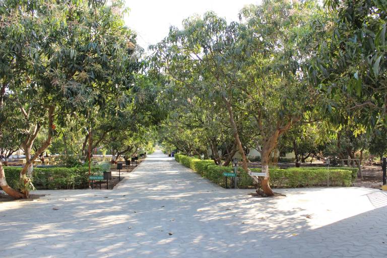 Lodge  Sasan Gir