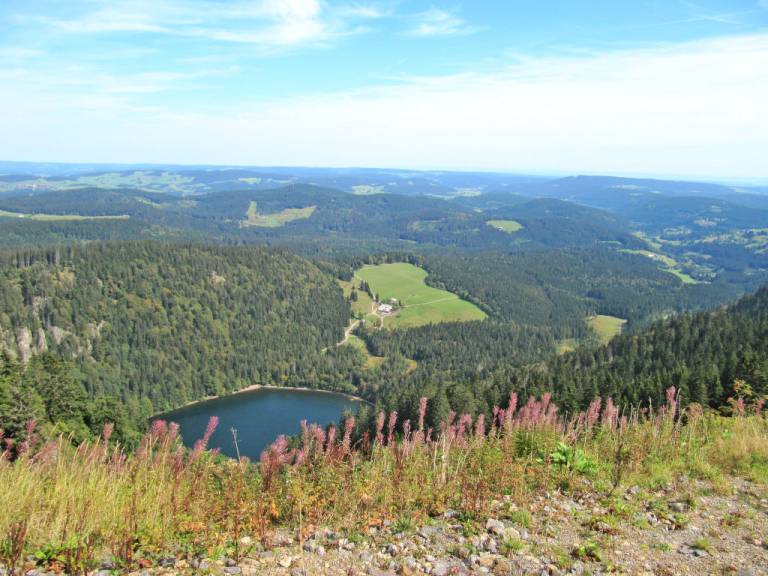 foto17