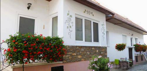Apartma Rust