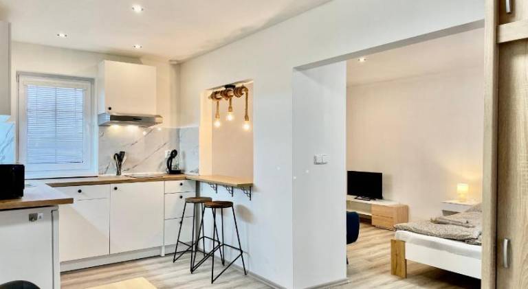 Beautiful rental apartment with sauna & patio | Pets are welcome in Jachymov